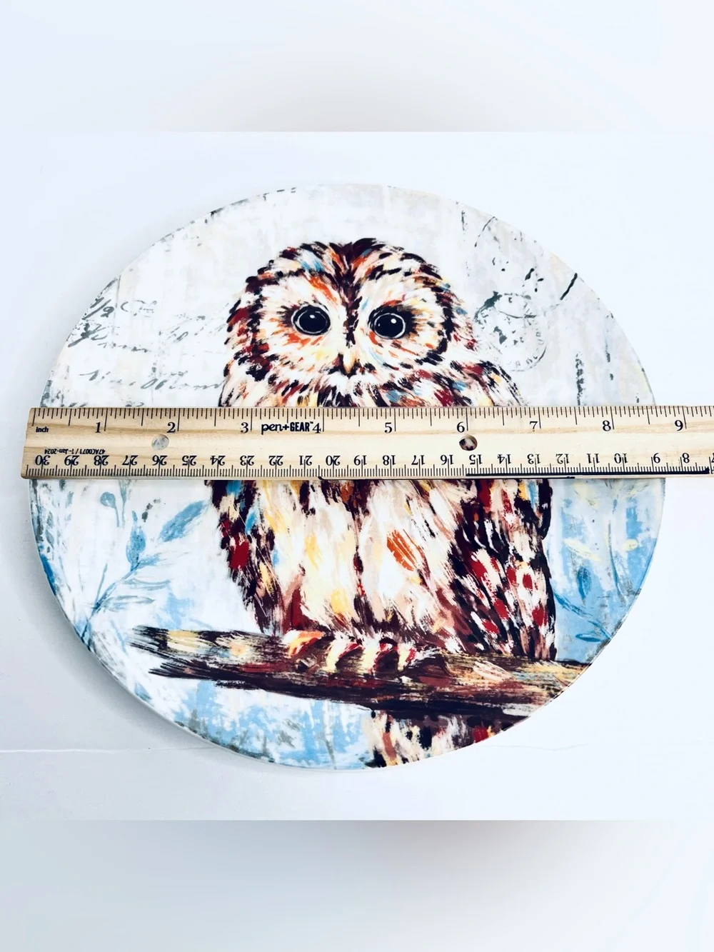 Pier 1 Imports Owl Salad Plate 8.75” Ironstone Woodland Bird Cottage Decor